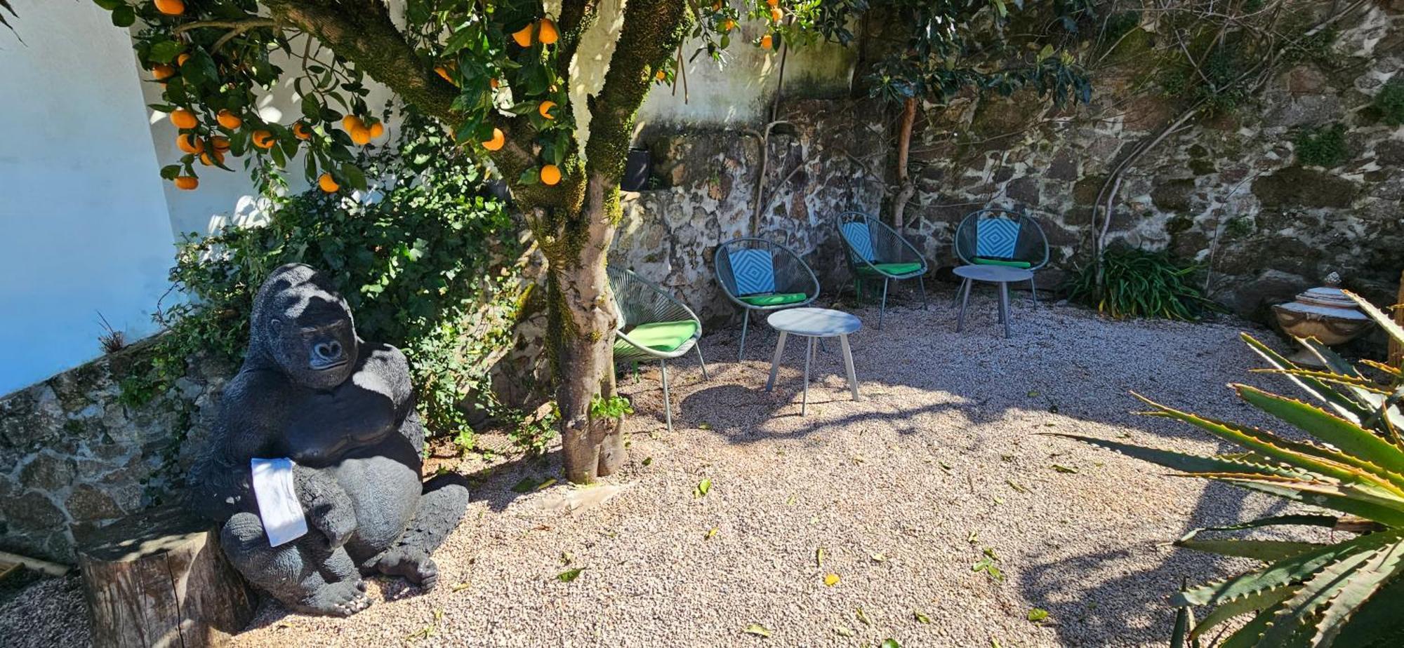 Casa Belavista Penela - Charming Guest House - Adults Only 外观 照片